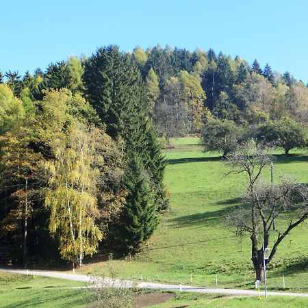 Ferienwohnungen Bauernhof Schilcher Sankt Stefan im Lavanttal Exterior foto