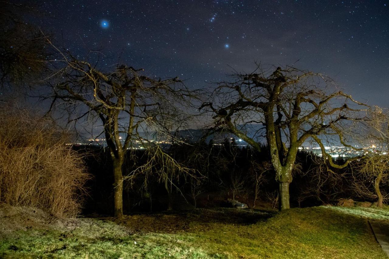 Ferienwohnungen Bauernhof Schilcher Sankt Stefan im Lavanttal Exterior foto