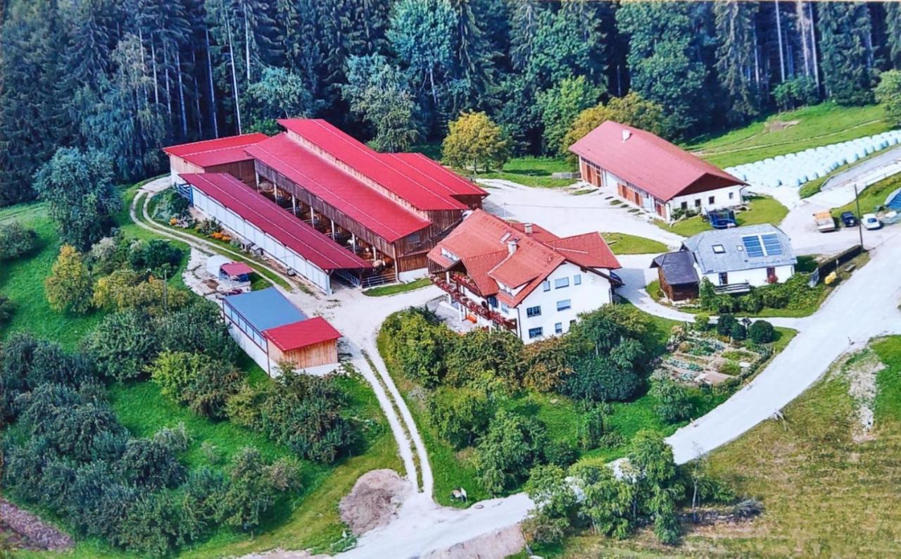 Ferienwohnungen Bauernhof Schilcher Sankt Stefan im Lavanttal Exterior foto