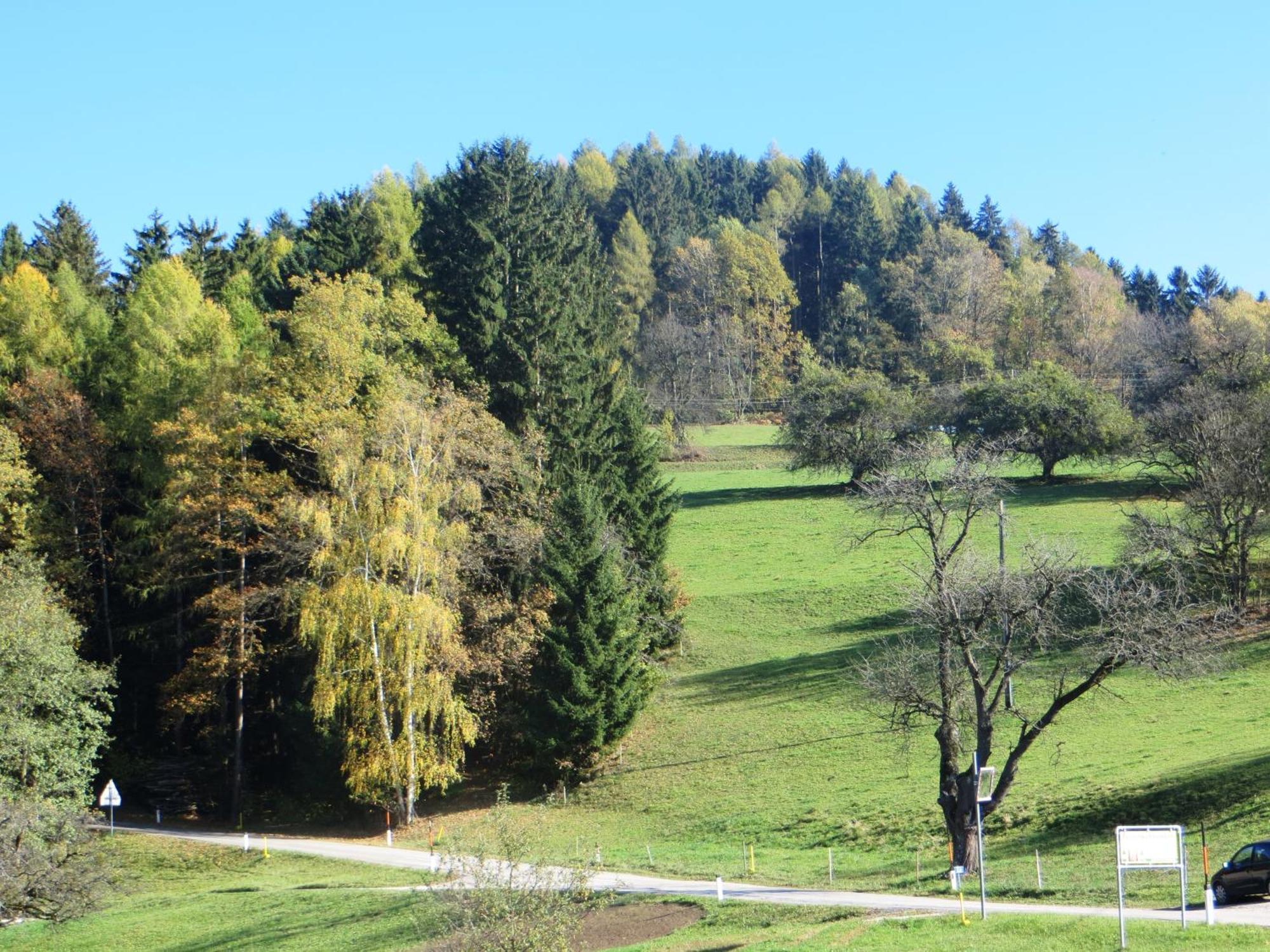 Ferienwohnungen Bauernhof Schilcher Sankt Stefan im Lavanttal Exterior foto