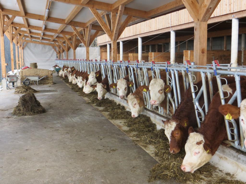 Ferienwohnungen Bauernhof Schilcher Sankt Stefan im Lavanttal Exterior foto