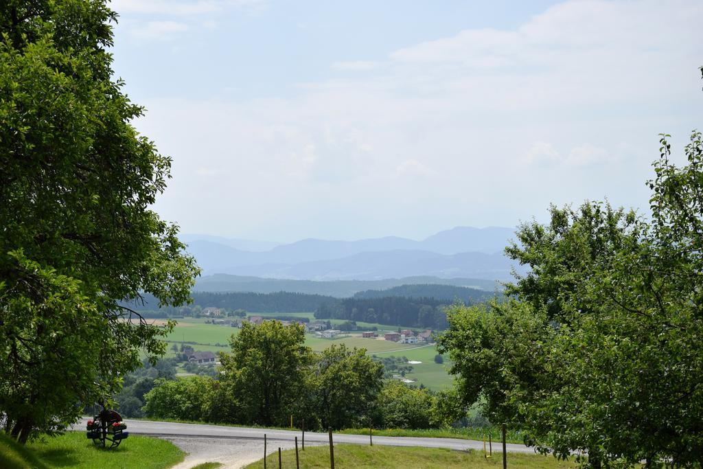 Ferienwohnungen Bauernhof Schilcher Sankt Stefan im Lavanttal Exterior foto