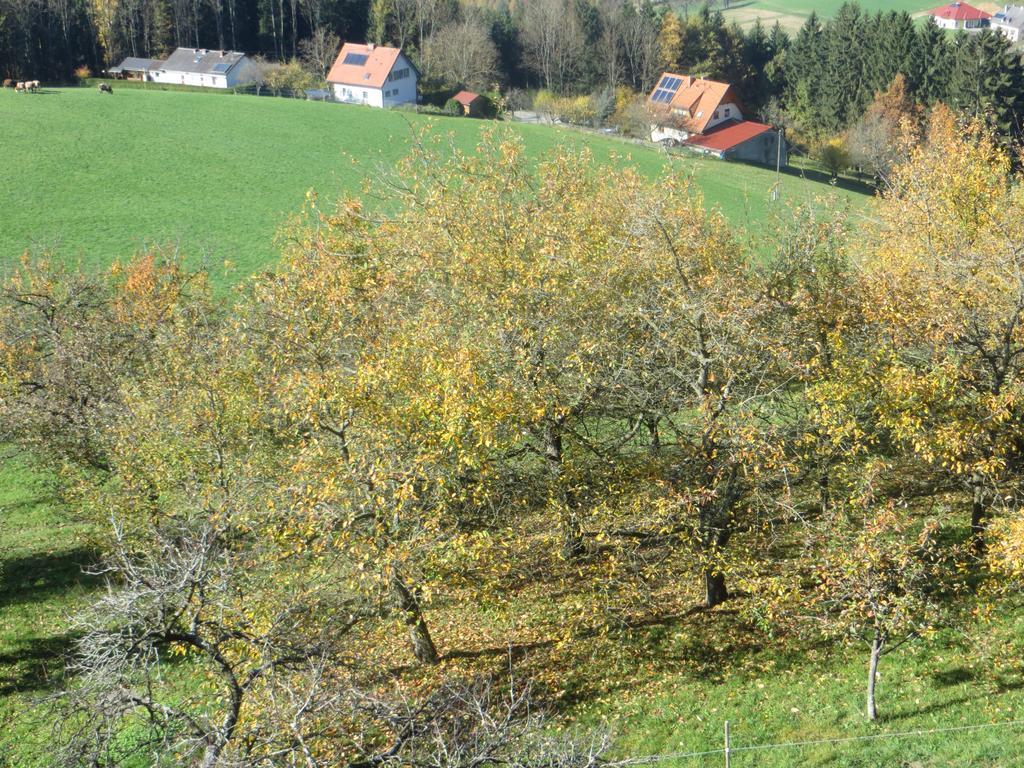 Ferienwohnungen Bauernhof Schilcher Sankt Stefan im Lavanttal Exterior foto