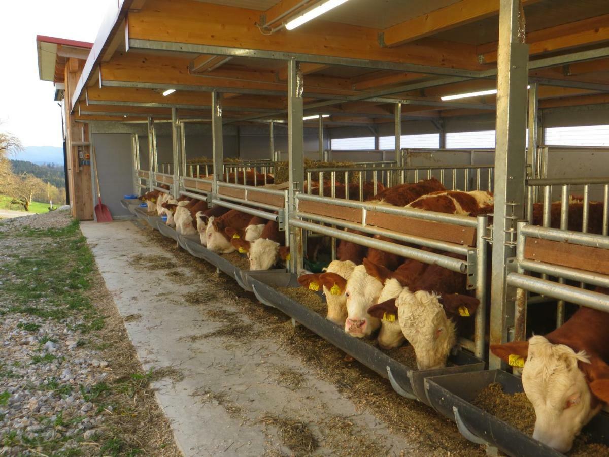 Ferienwohnungen Bauernhof Schilcher Sankt Stefan im Lavanttal Exterior foto